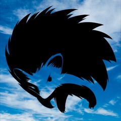 【Mr.Hedgehog】Different Colors【hardcore】