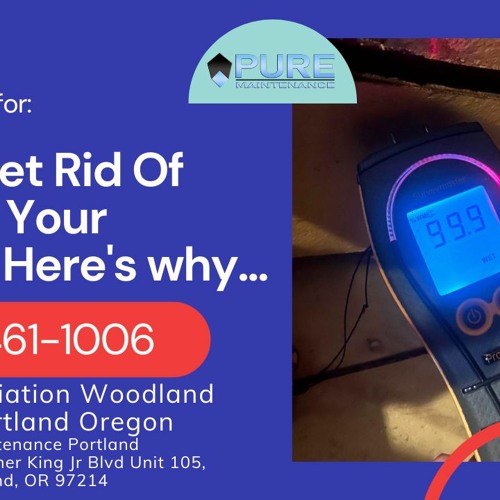 Mold Remediation Woodland Park Portland Oregon - Pure Maintenance Portland - 503-461-1006