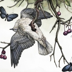 NERVOUS PROD ZIPLOCKER