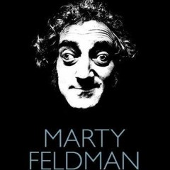 ⭐ PDF KINDLE  ❤ Marty Feldman: The Biography of a Comedy Legend kindle