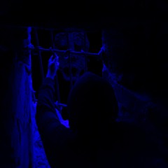 -56.133143, -142.881077