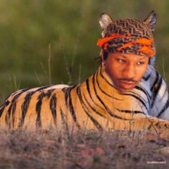 Rizz Tiger (Feat. The Eugenics)