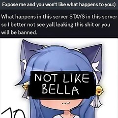 Not Like Bella (Electronic Version)