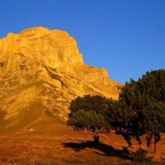 Montagne Francaise
