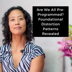 Episode 245 - Are We All Pre-Programmed? Foundational Distortion Patterns Revealed