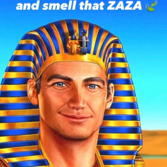 MUCUS FREESTYLE (prod. aloa)