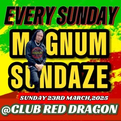 NOTORIOUS INT SOUND AT MAGNUM SUNDAZE IN CLUB RED DRAGON🇬🇾 23RD MARCH 2025.mp3