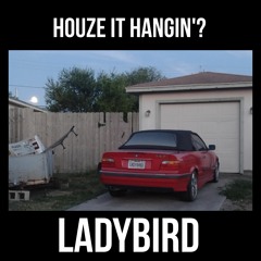 Ladybird - Houze It Hangin'?