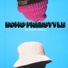 Echo Freestyle ft. @AkeemAli.mp3