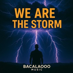 we-are-the-storm.