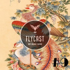 Flycast #9