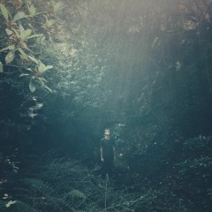 Blameful Isles - Doorways To Elphame