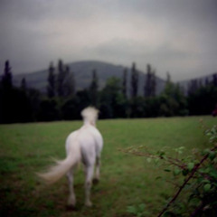 good guy (og white pony demo 2022)