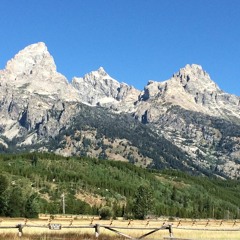 Firelight of Morning