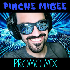 PINCHE MIGEE : PROMO MIX
