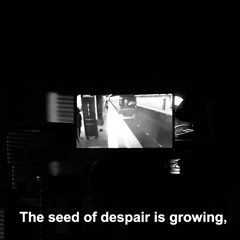 the seed of despair is growing.