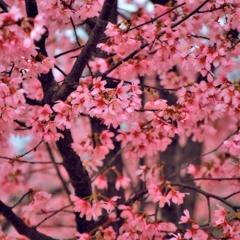 his bonnie on the side