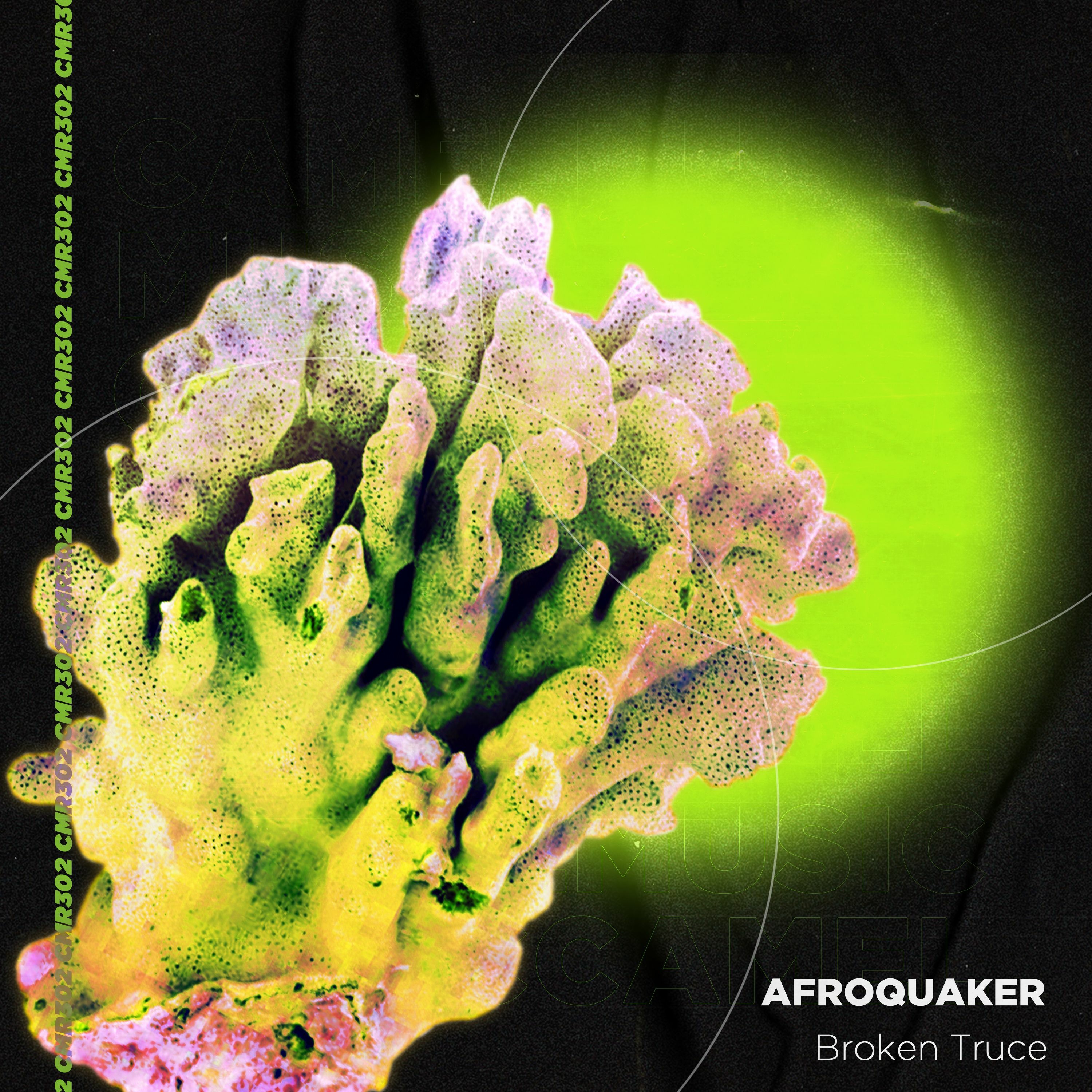 AfroQuakeR - Broken Truce (Original Mix)
