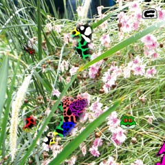 Extrait 1 - À JAMAIS