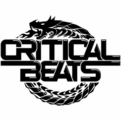 Critical Beats 22nd October TopKat B2B REINCARNATED