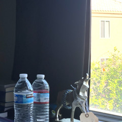 Windows of the World