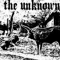 Unknown