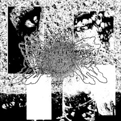 pickles for breakfast audio combat