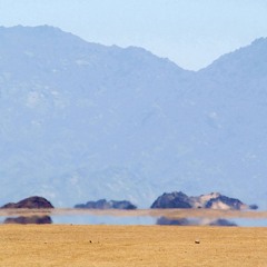Mirage