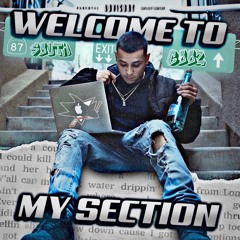 Welcome To My Section