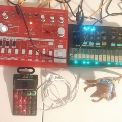 Behringer td-3, TE po-12, Korg Volca fm 2 - Autumn Sun