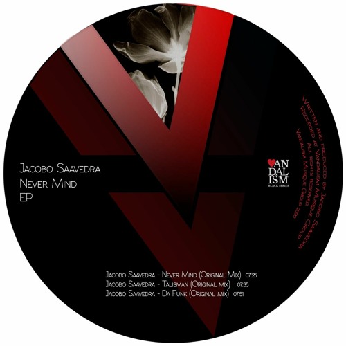 Jacobo Saavedra - Never Mind - Vandalism Musique 063
