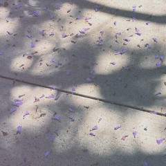 String Quartet Mvt.I