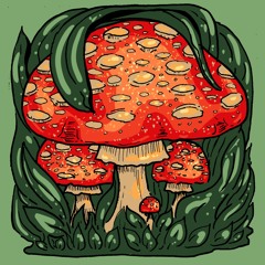 Amanita Muscaria