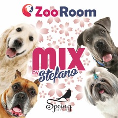Zoo Room Spring Edition 2020 Mix By Stefano