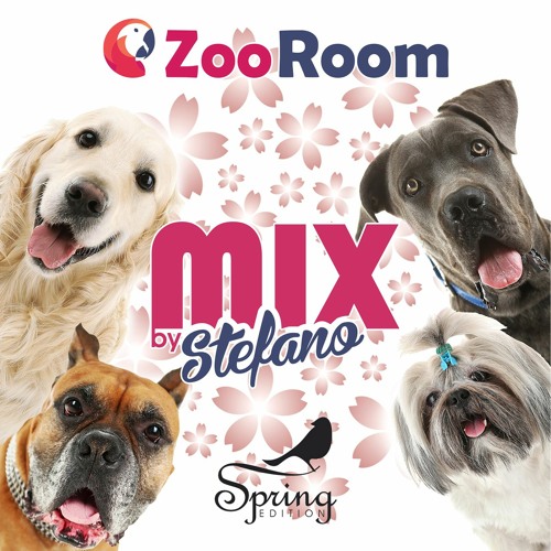 Zoo Room Spring Edition 2020 Mix By Stefano