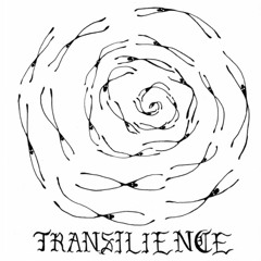 Transilience w/ DJ Anarres - 20June2022