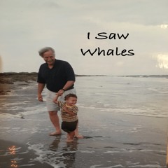 I Saw Whales