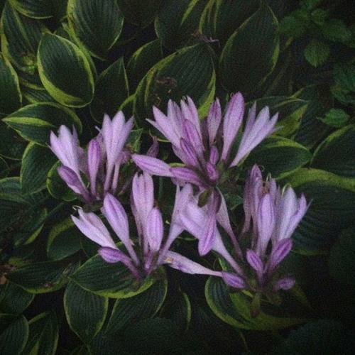 All Again (feat. Snøw)