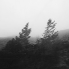 Song For The End Of A Year