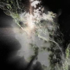 Coercive Flux