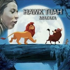 HAWK TUAH DNB ( free downlaod )