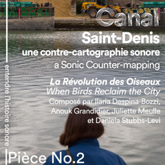 Pièce No. 2 La Révolution des Oiseaux (When Birds Reclaim the City)