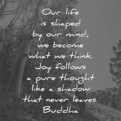 Mind Your Business 242NIPPY - 3:28:23, 4.32 PM