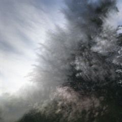 Ghosts of You (Demo)