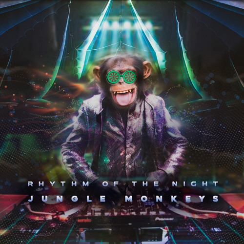 Jungle Monkeys - Rhythm Of The Night