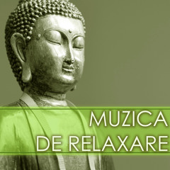 Hai Relaxeaza-te