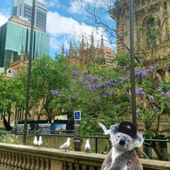 MUSICIAN! (normalworld 2022 remix)