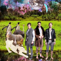 440 Hc - Kapitán Kormorán