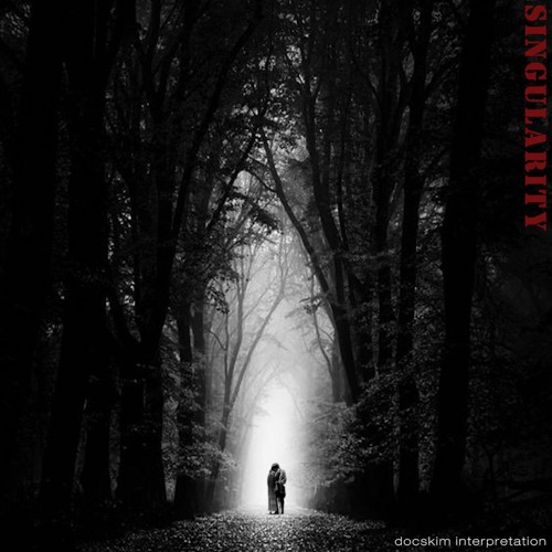 SINGULARITY (docskim interpretation)