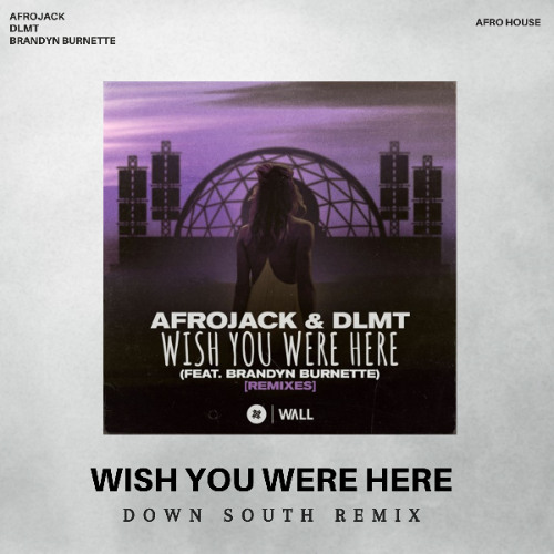 Afrojack & DLMT - Wish You Were Here Down South Remix